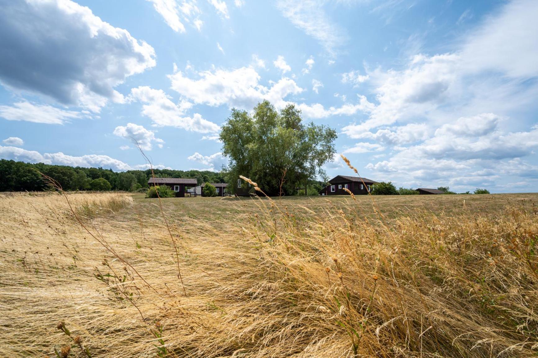 Camping Les Vosges Du Nord Oberbronn Екстер'єр фото